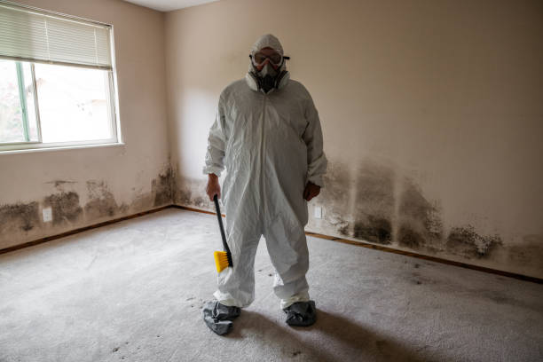 Best Industrial Mold Remediation in Bangs, TX